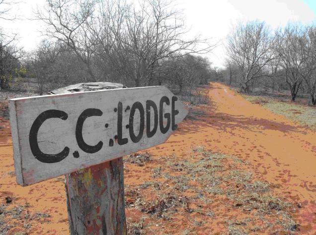 Artigo Blogue 14mar2018 B