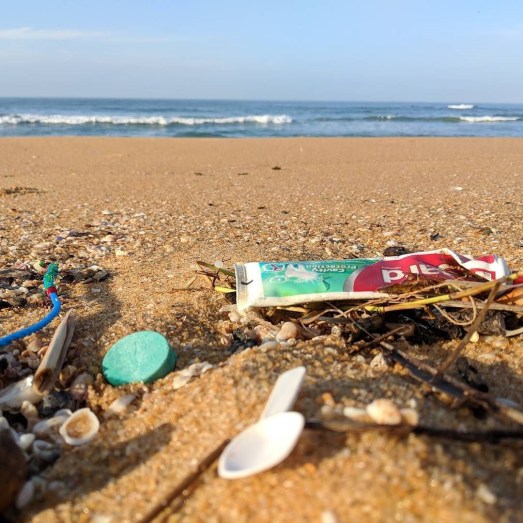 Post_Sonia Cardoso_foto1 (20 Junho 2018)