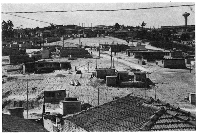 Jardim_das_camelias_1980_CUT