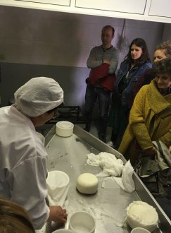 Foto 6 Queijo Artesanal Serra da Estrela.jpg