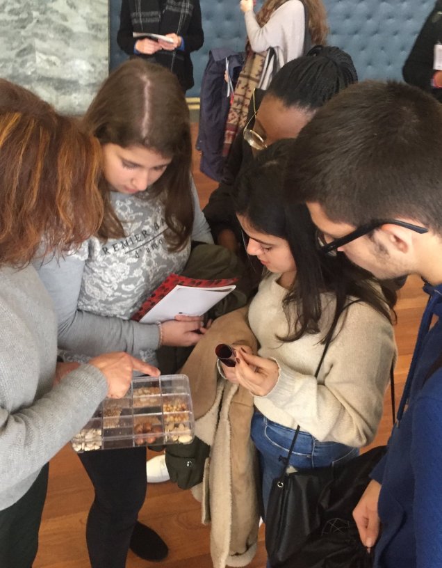 ReSEED_DescobreAULisboa